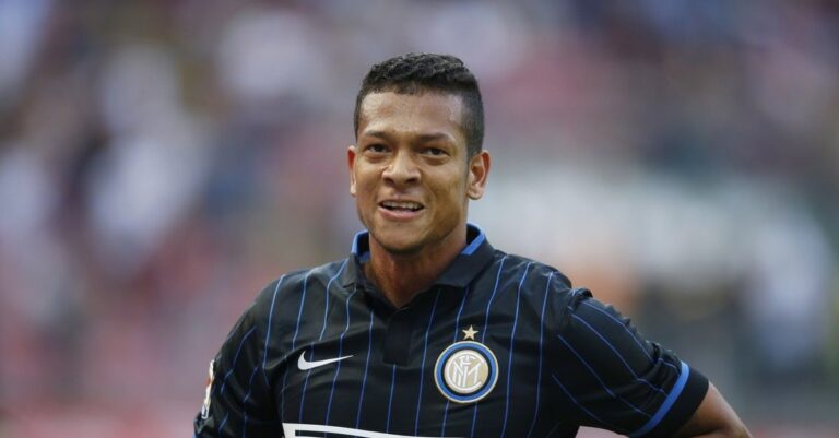 guarin_inter.jpg