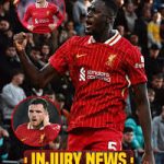 liverpool injury